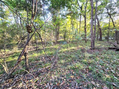 TBD County Road 2167, Cleveland, TX 77327 - photo 7