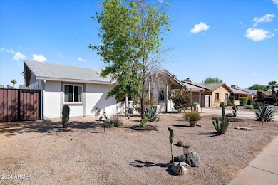 Easy care desert landscaping