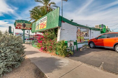 13-Palm