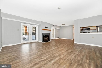 1602 Berry Rose Ct unit 1C, Frederick, MD 21701 - photo 3