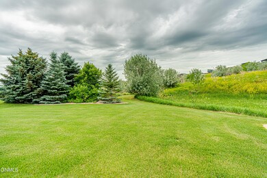 3424ThunderbirdLn_00103