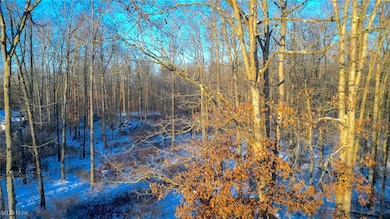 0 McClintocksburg Rd unit 5176449, Diamond, OH 44412 - photo 3