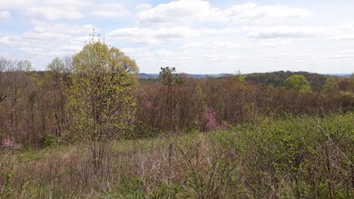 0 0 Maples Hollow Rd unit 1114351, Blaine, TN 37709 - photo 3