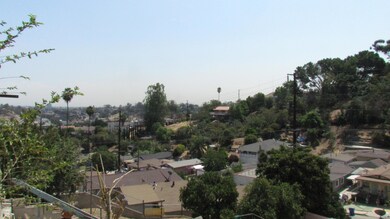 IMG_2028
