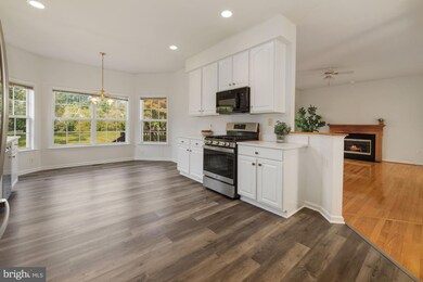 14308 Big Bear Ct, Silver Spring, MD 20906 - photo 7