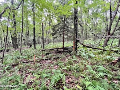 20230814235621860595000000-o