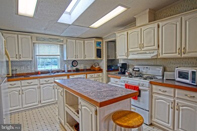 28150 Gum Tree Rd, Dagsboro, DE 19939 - photo 6