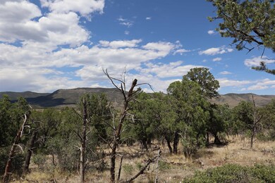 000 Trailer Rd unit 23, Timberon, NM 88350 - photo 7