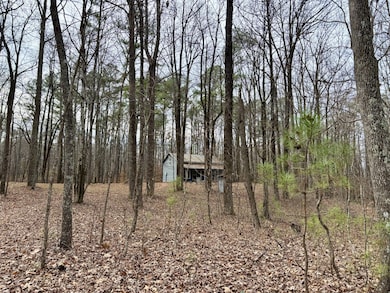 84 Granny Pratt Ln, Belvidere, TN 37306 - photo 5