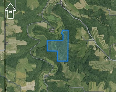 Rooster Valley Rd, Spring Grove, MN 55974 - photo 2