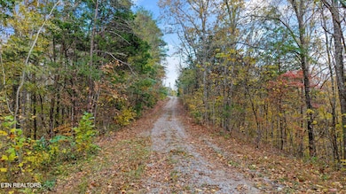 2020 Upper Rinehart Rd, Dandridge, TN 37725 - photo 3