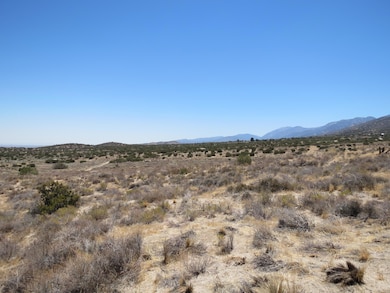 0 96th St E unit 25002488, Littlerock, CA 93543 - photo 2