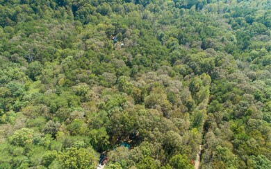 0 N Pine Rd unit 312420, Ellijay, GA 30536 - photo 4