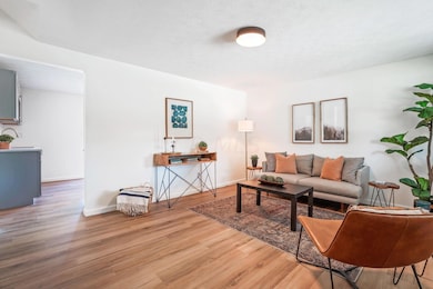 Large Living Room