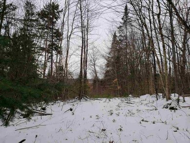 00 Balancing Rock Rd, Franconia, NH 03580 - photo 6