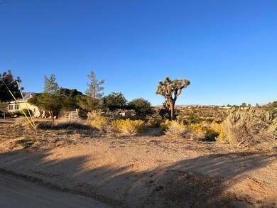 0 136th St E & Ave W11 unit 25002633, Pearblossom, CA 93553 - photo 3