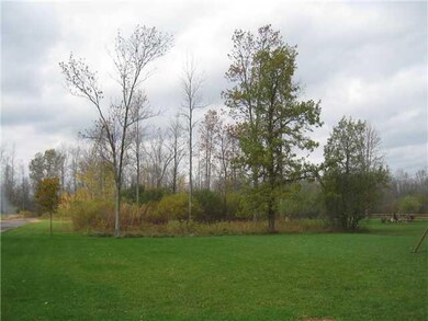 Yard/Garden