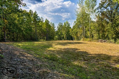 0 Tennessee 125, Henderson, TN 38340 - photo 6