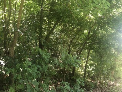 Lot 1 Orchid Dr, Neosho, MO 64850 - photo 4