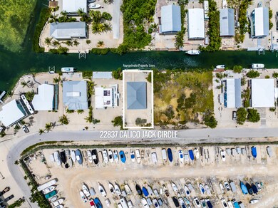 22837 Calico Jack Circle Print-47