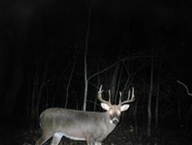 Lot 2 Benson Rd, Brooklyn, WI 53521 - photo 6