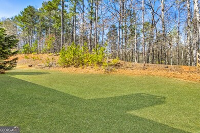 173 Northshore Crossing, Dallas, GA 30157 - photo 6