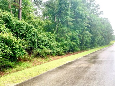 0000 Becky Ln, Magnolia, TX 77354 - photo 2