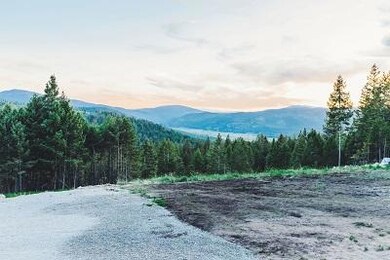 1003 Springhill Rd, Kila, MT 59920 - photo 5