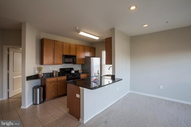 8045 Newell St unit 524, Silver Spring, MD 20910 - photo 7