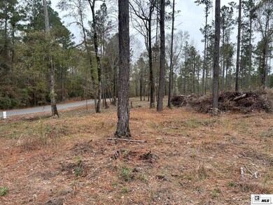 0 Cadeville Cutoff Rd, West Monroe, LA 71292 - photo 2