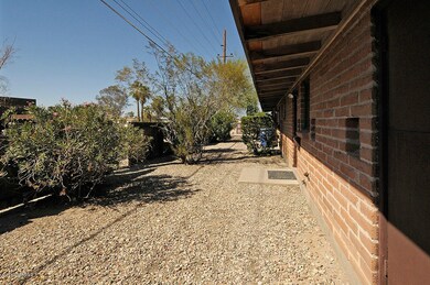 another view of the backyard