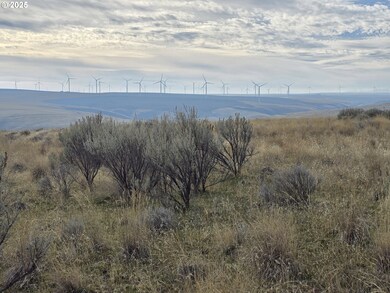 0 Gossen unit 515415298, Wasco, OR 97065 - photo 6