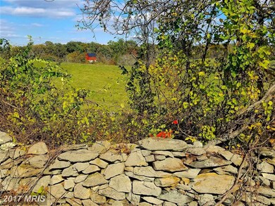 19190 Walsh Farm Ln, Bluemont, VA 20135 - photo 3