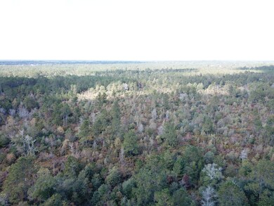 Gore Store Rd, Kountze, TX 77625 - photo 7