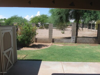 Back Yard Views