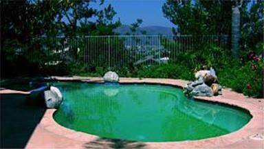 Backyard is a pie shaped with a gorgeous view of M
