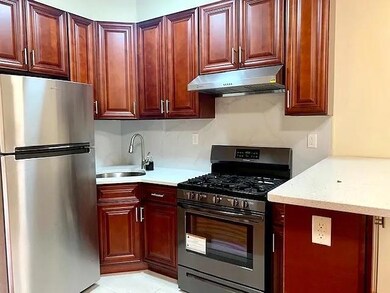 365 51st St unit 2, Brooklyn, NY 11220 - photo 3