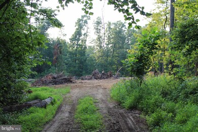 0 John Brown Farm Rd unit 1000308624, Harpers Ferry, WV 25425 - photo 6