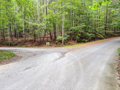 372 Emerald Springs Ln, Ellijay, GA 30540 - photo 6