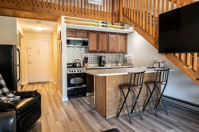 36 Lodge Rd unit C-313, Lincoln, NH 03251 - photo 3