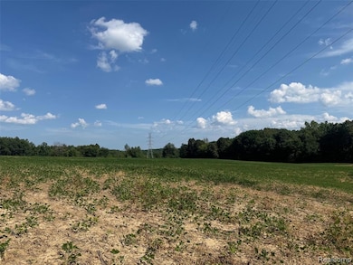 VL S Mill Rd, Dryden Township, MI 48428 - photo 2