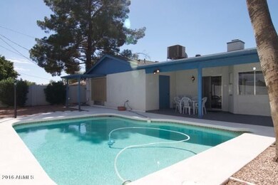 Sweet Backyard