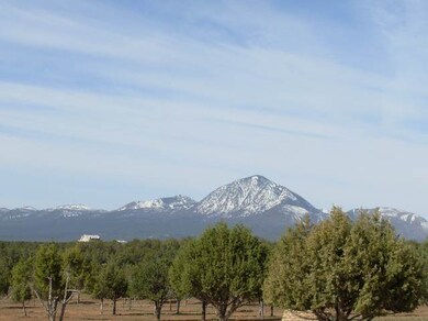 0 Road 21 9 unit 689350, Cortez, CO 81321 - photo 7