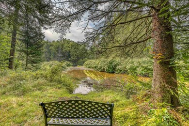 23 Labrador Run, Jefferson, NH 03583 - photo 4