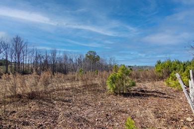 0 Chestnut Grove Rd unit 225067, Shiloh, GA 31826 - photo 6