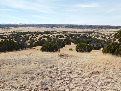 274 Deer Cir, Quemado, NM 87829 - photo 7