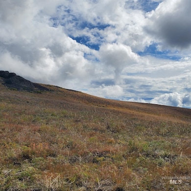 00 Cuddy Mountain Mineral Land, Cambridge, ID 83610 - photo 5