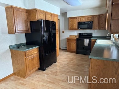 445 Lawrence St, Kingsford, MI 49802 - photo 2