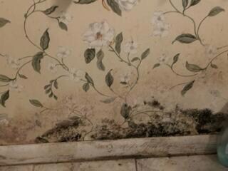 thumbnail_IMG_4158