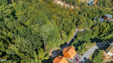 dji_20251010150530_0950_d